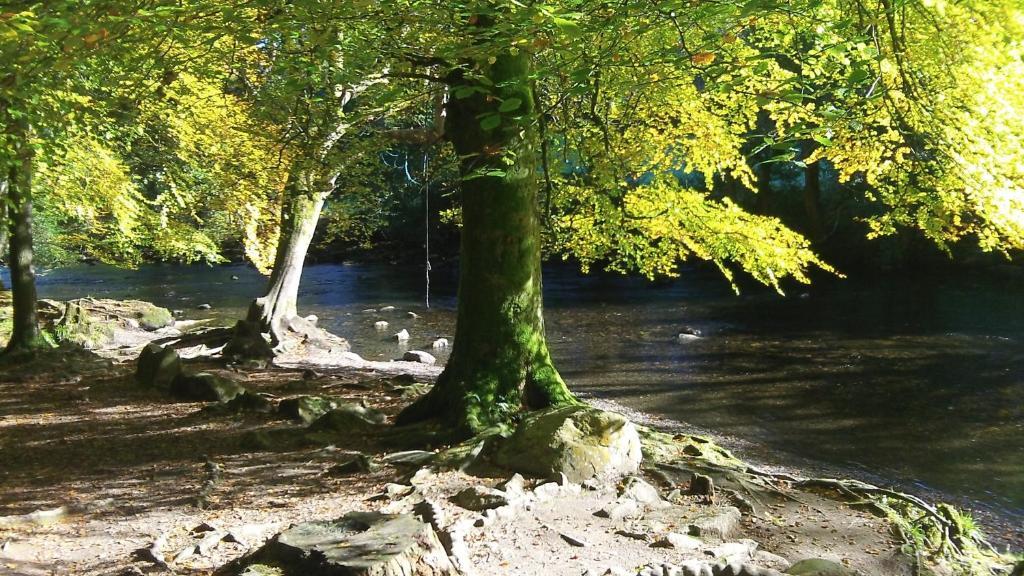 Bryn Bella Otel Conwy Dış mekan fotoğraf